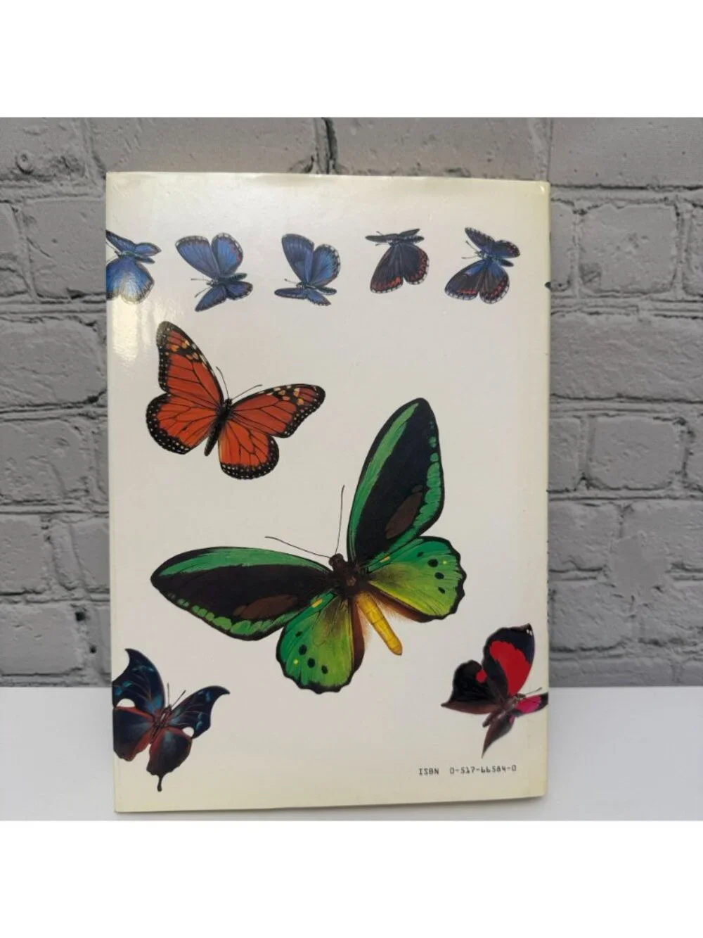 Butterflies of the World Coffee Table Book 1988 Illustrated Hardcover